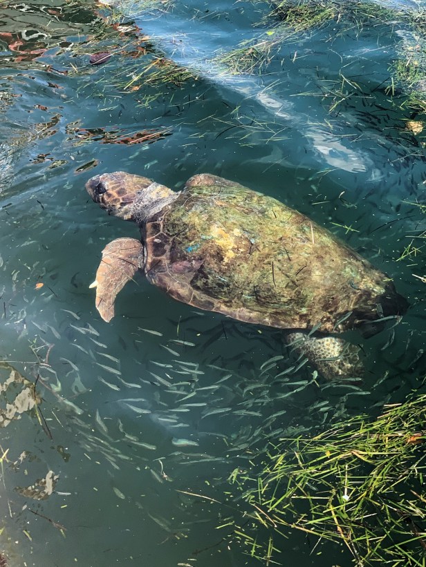 E0FE87BF-2EC5-469E-9A09-A0205BB108D4